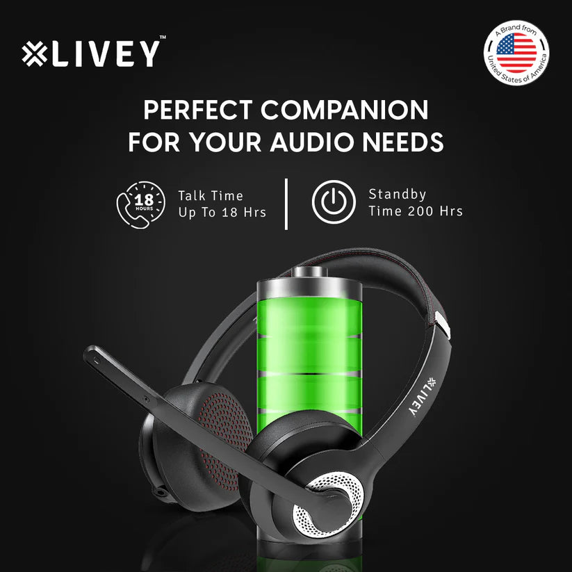 LIVEY Audixa 715BT Headset